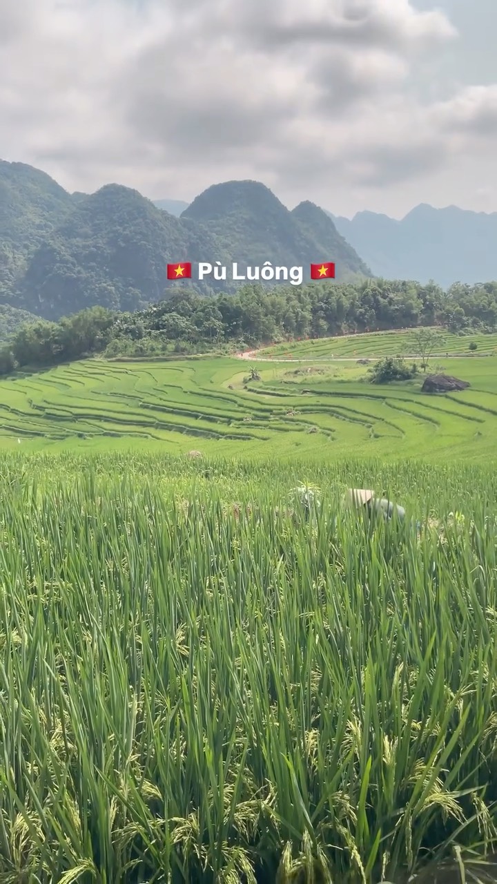 Roxy Elfondo | Vietnam Travel Guides & Tips, Pu Luong Nature Reserve