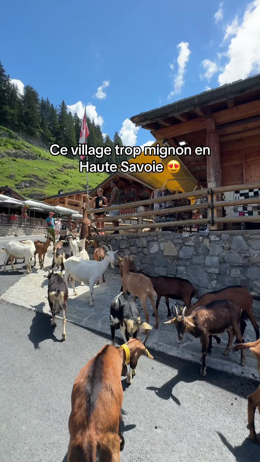 Travel For Sunset 🏔️🌴☀️, Village des chèvres