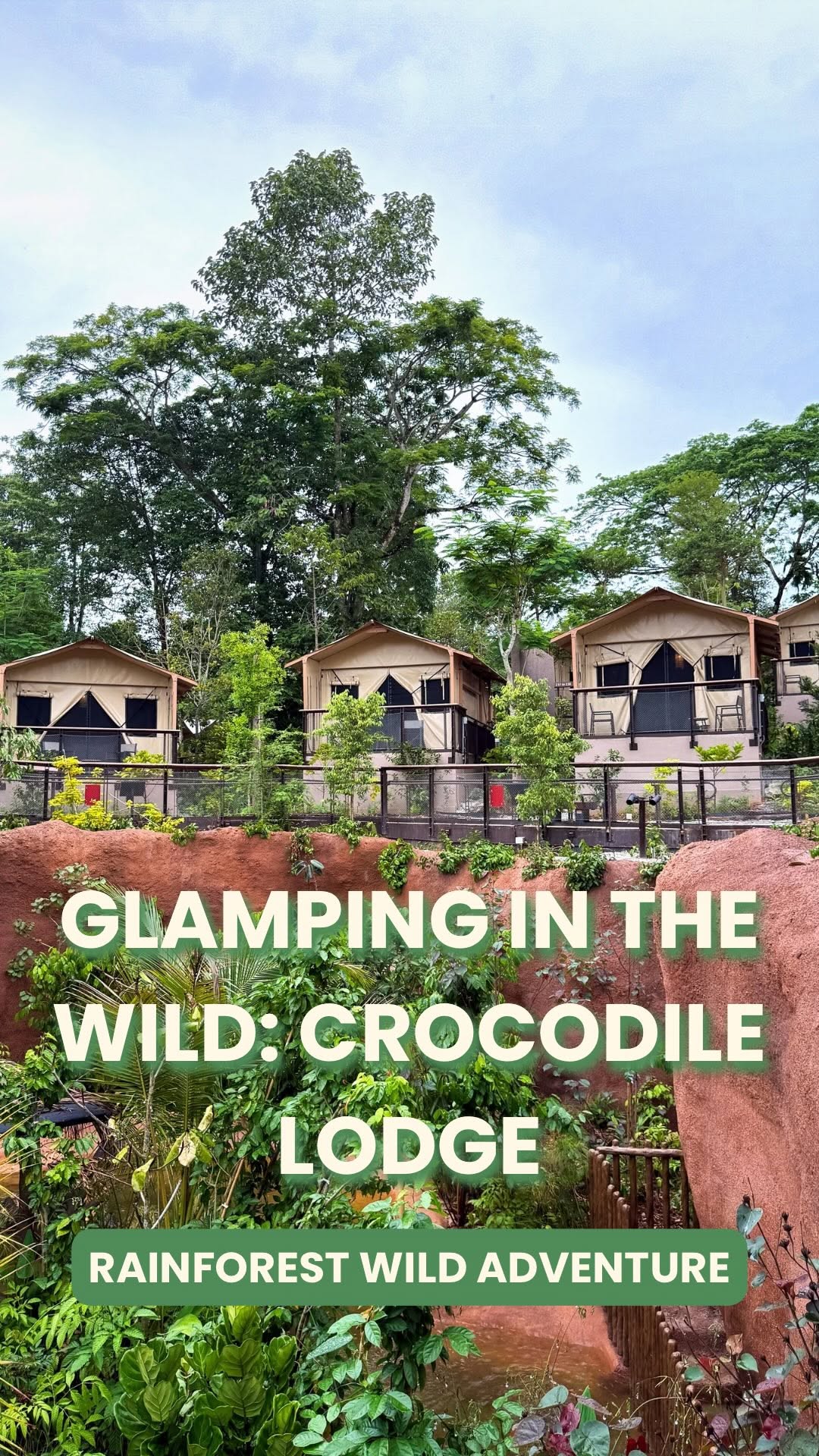 Sunny City Kids, Mandai Wildlife Reserve