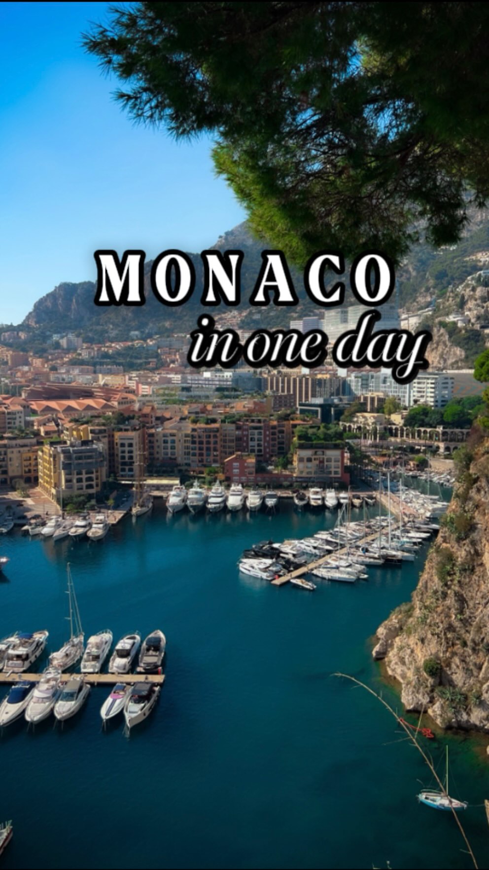 Paulina Guzik, Monaco City