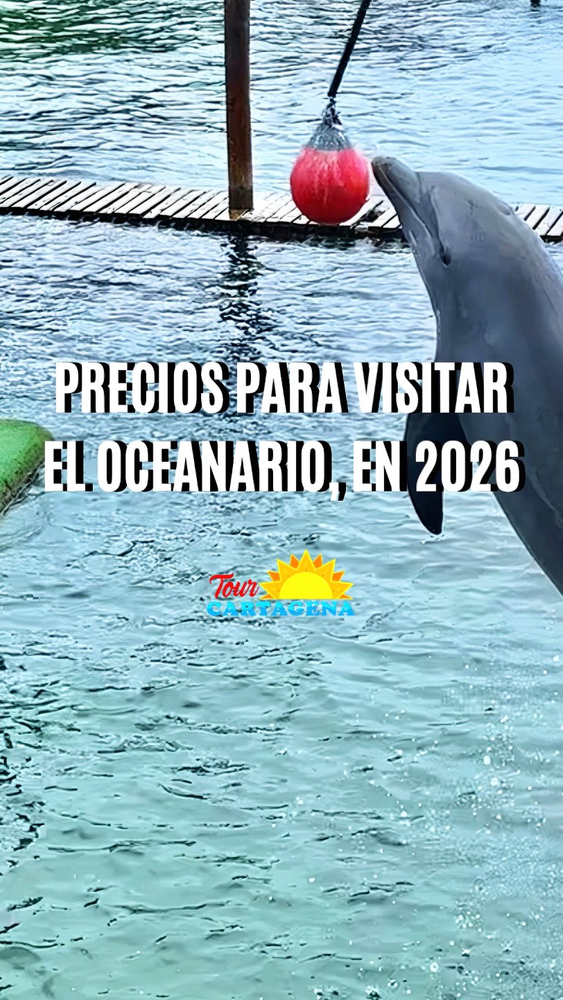 Tours en Cartagena de Indias, Rosario Islands