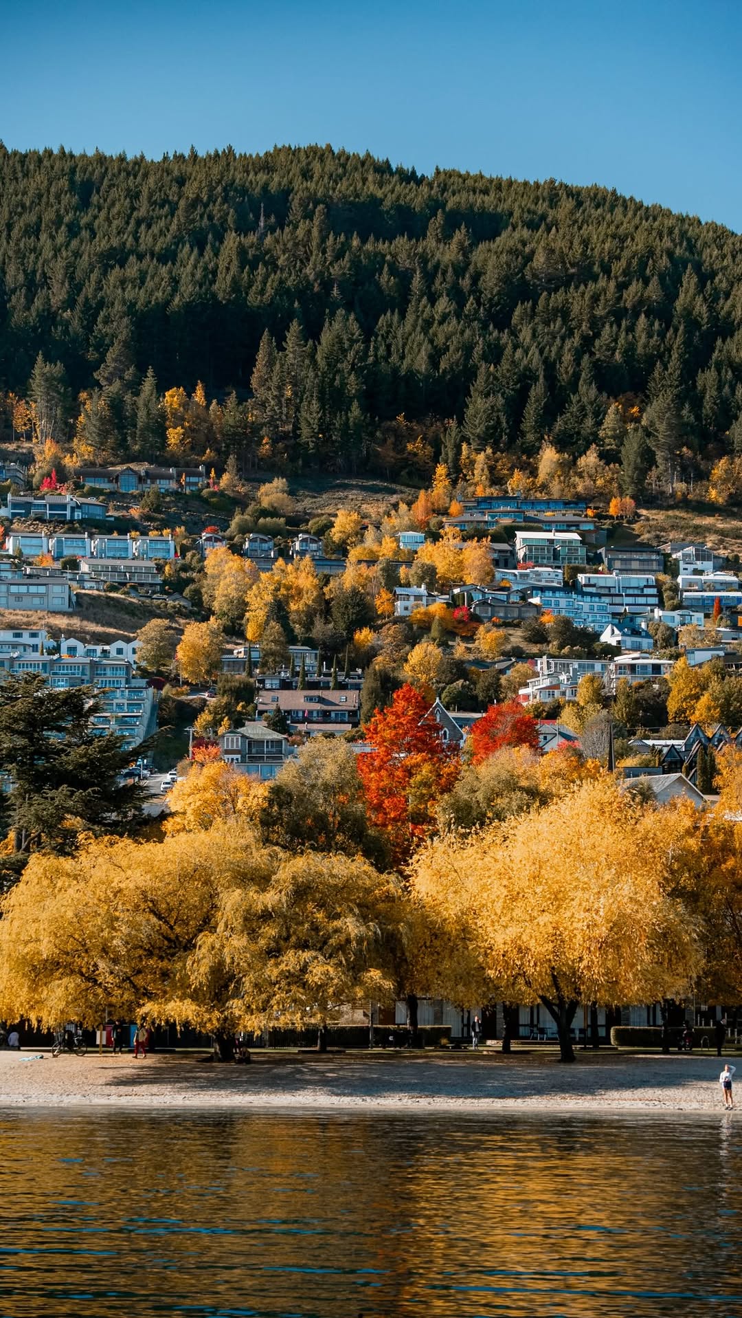 ShihShin💯｜追景人的日常｜Vlogger, Arrowtown