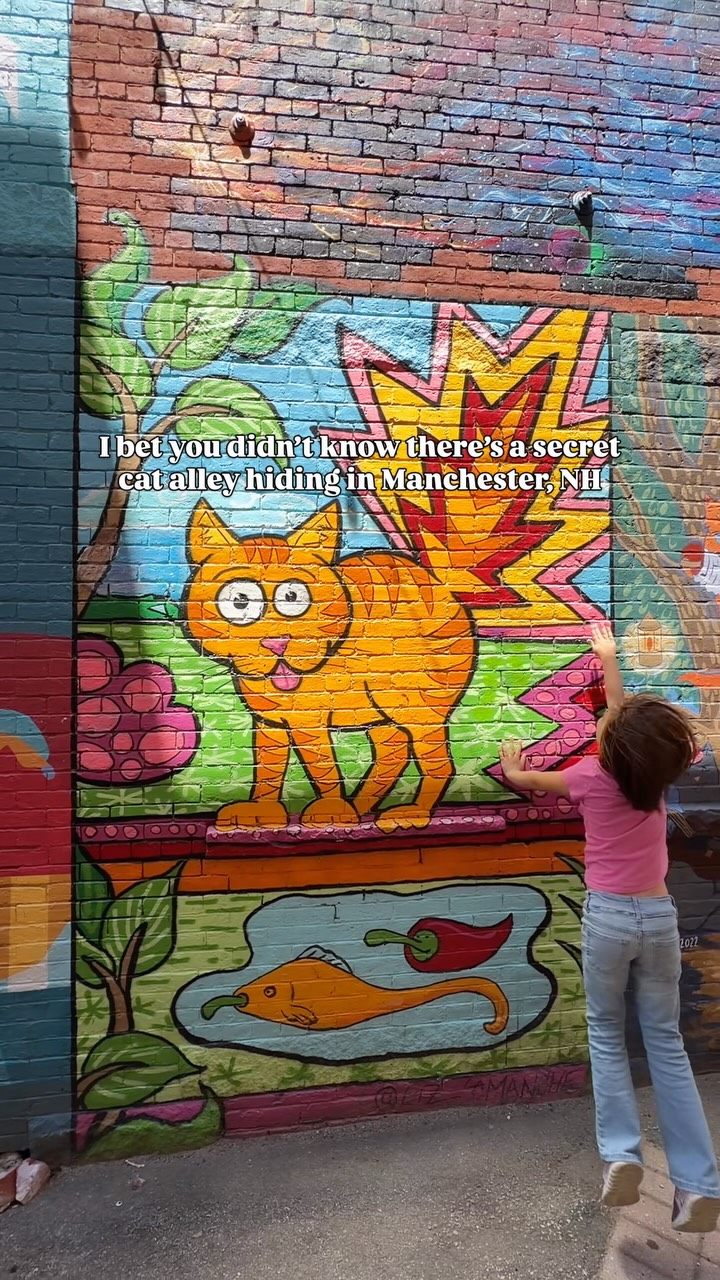 KATHERINE | Exploring New England with kids, Bookery Manchester