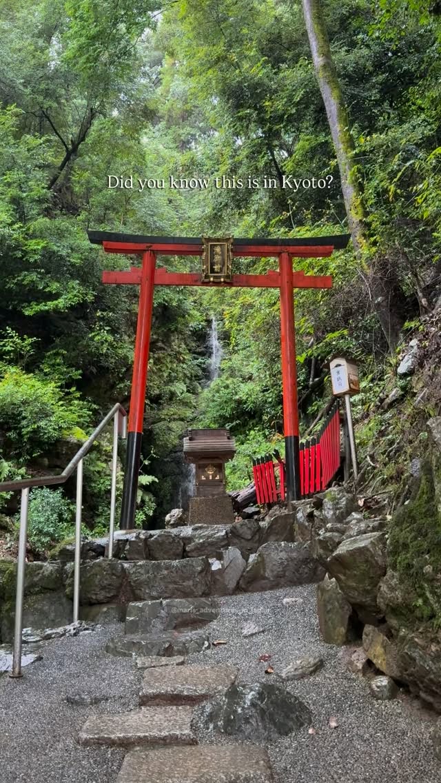 Mari 🇮🇹 • Japan Travel, Arashiyama