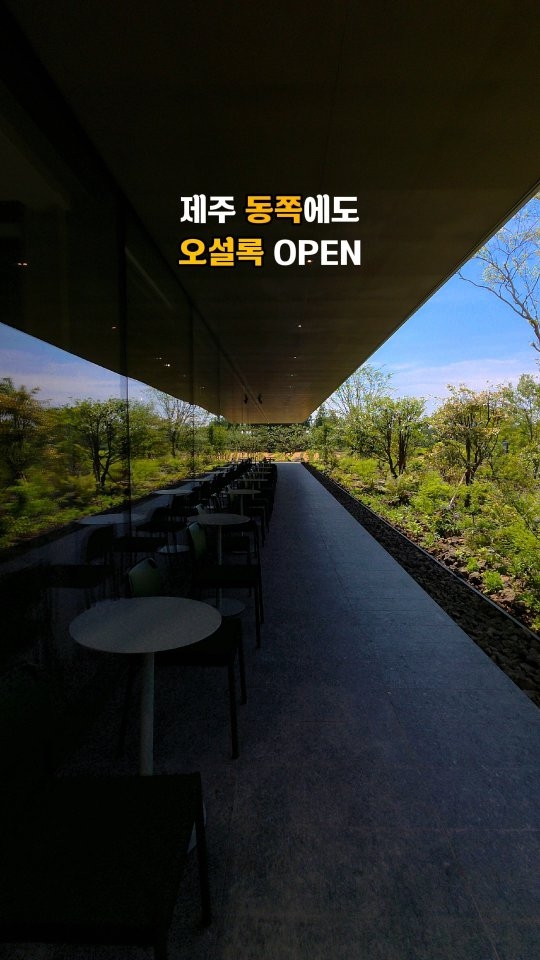 (๑ᵔ⤙ᵔ๑) 제주사는 조대비, Osulloc Tea Museum