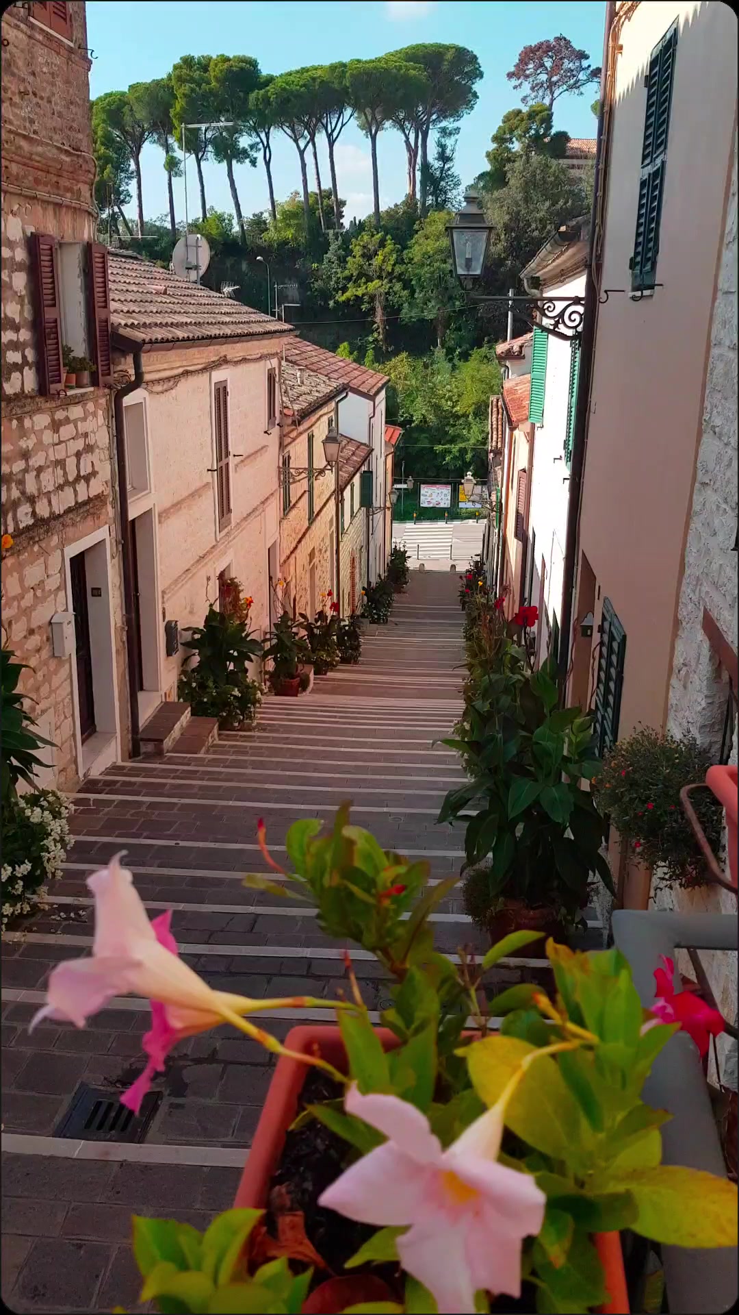 blogsognoitaliano, Numana