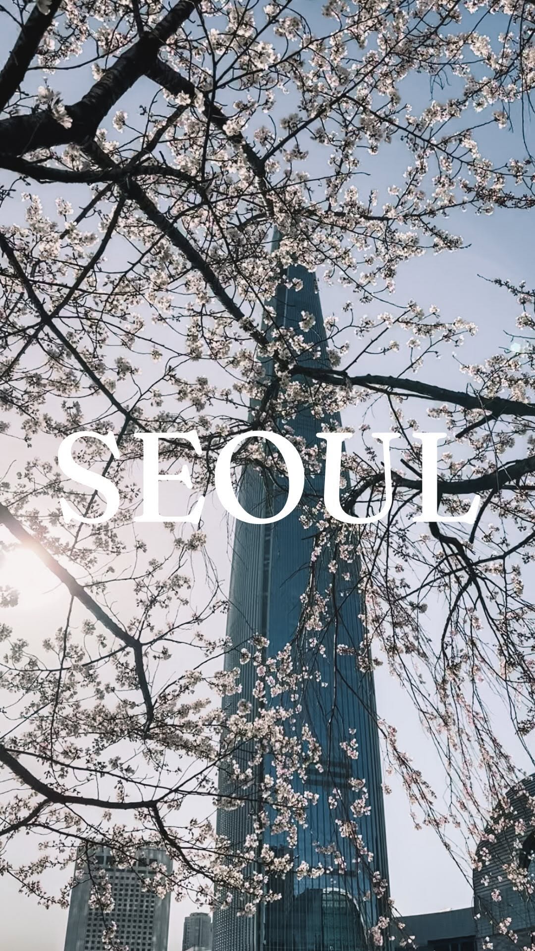 Taylor & Zervan | EV Roadtrip Around the US, Gyeongbokgung Palace
