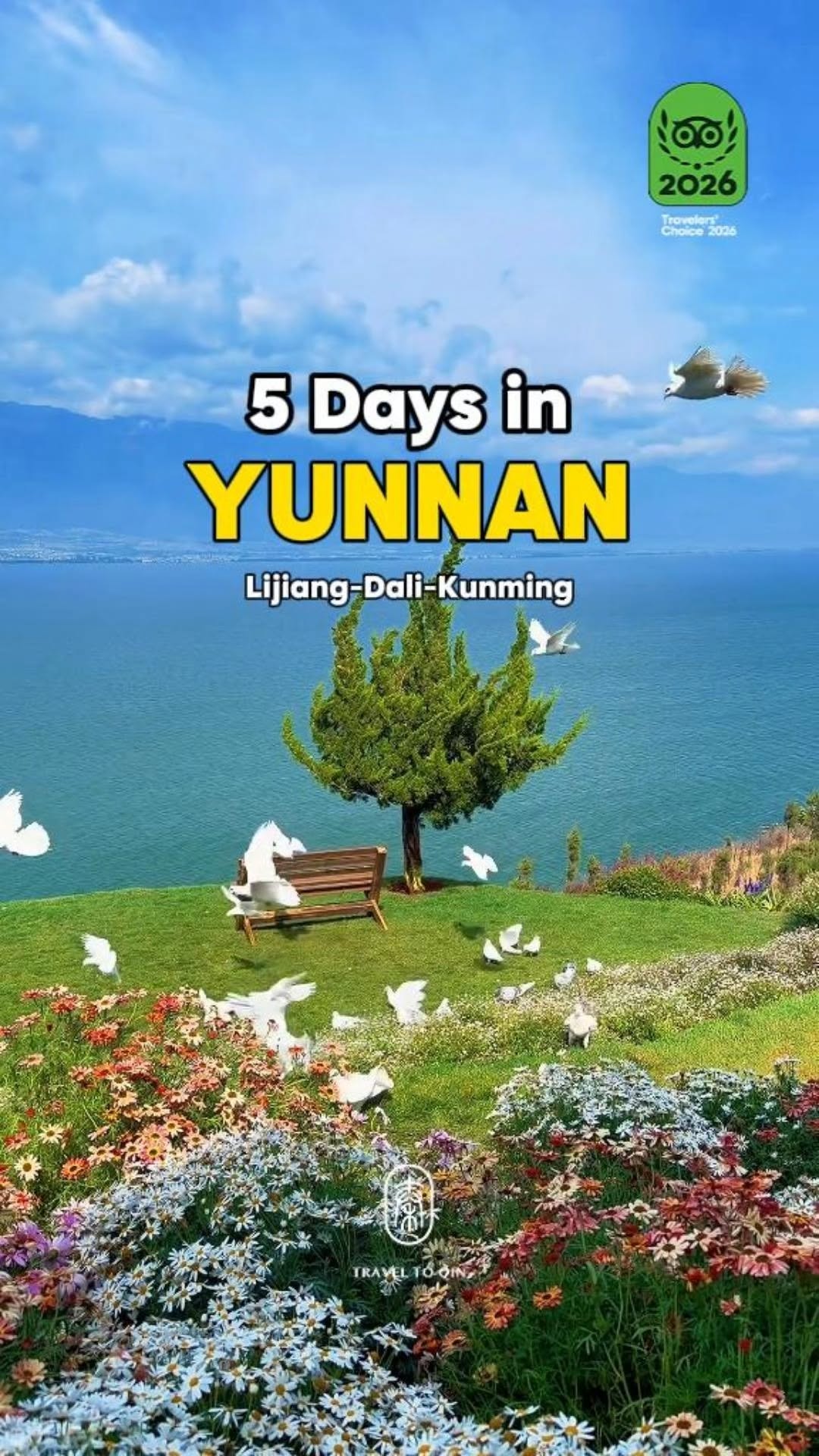 Traveltoqin, Yulong Snow Mountain