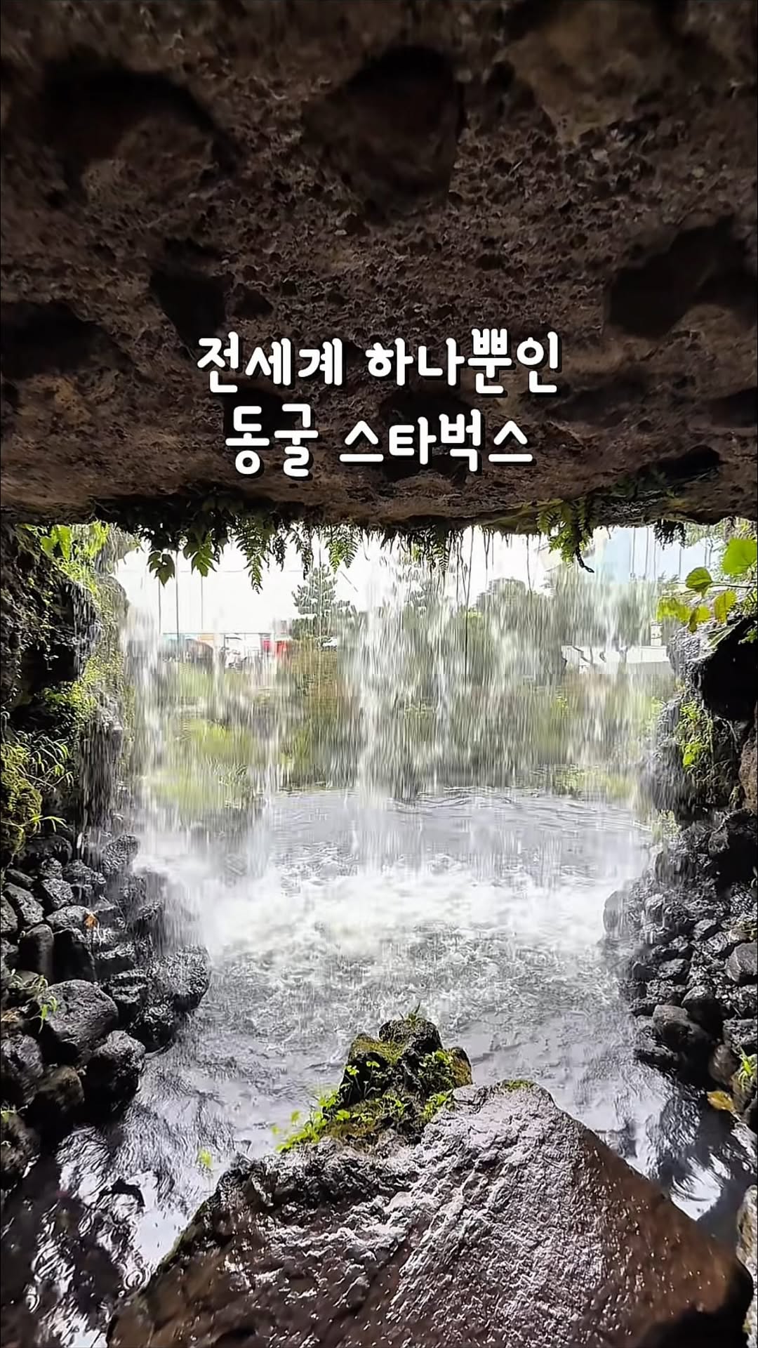 여유 I 공간 • 카페 • 음식 🏠, Jeju Stone Park