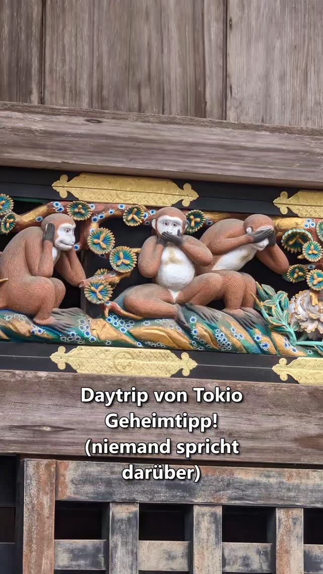 Timo, Nikko Toshogu
