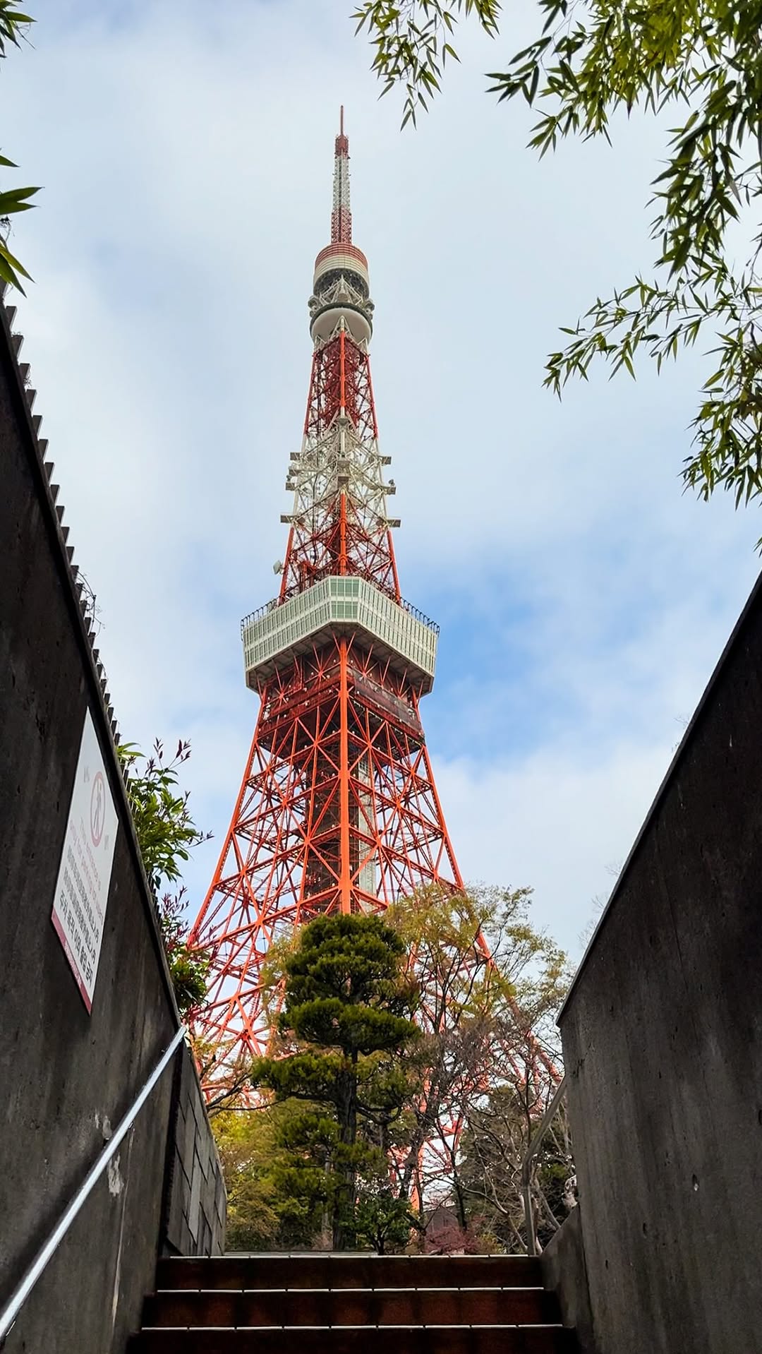 Joanna | Travel creator, Tokyo Tower