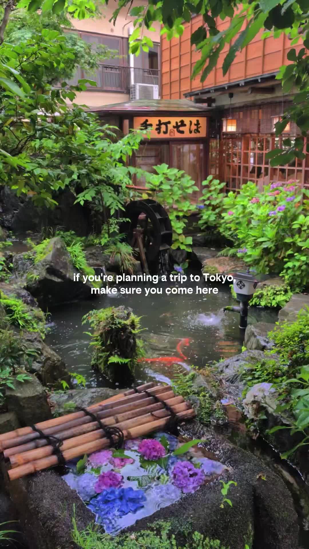 Alicia ✨ Travel Blogger, Jindaiji Temple
