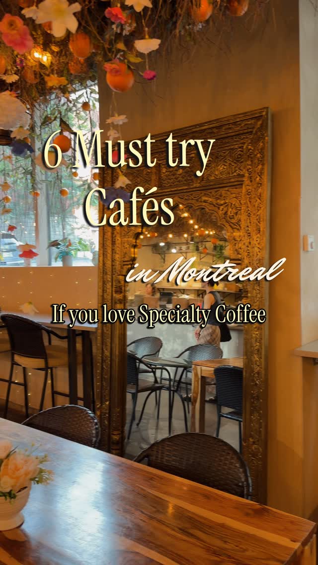 Roshni Ravoof | Hiking | Travel | Coffee, Tommy Café