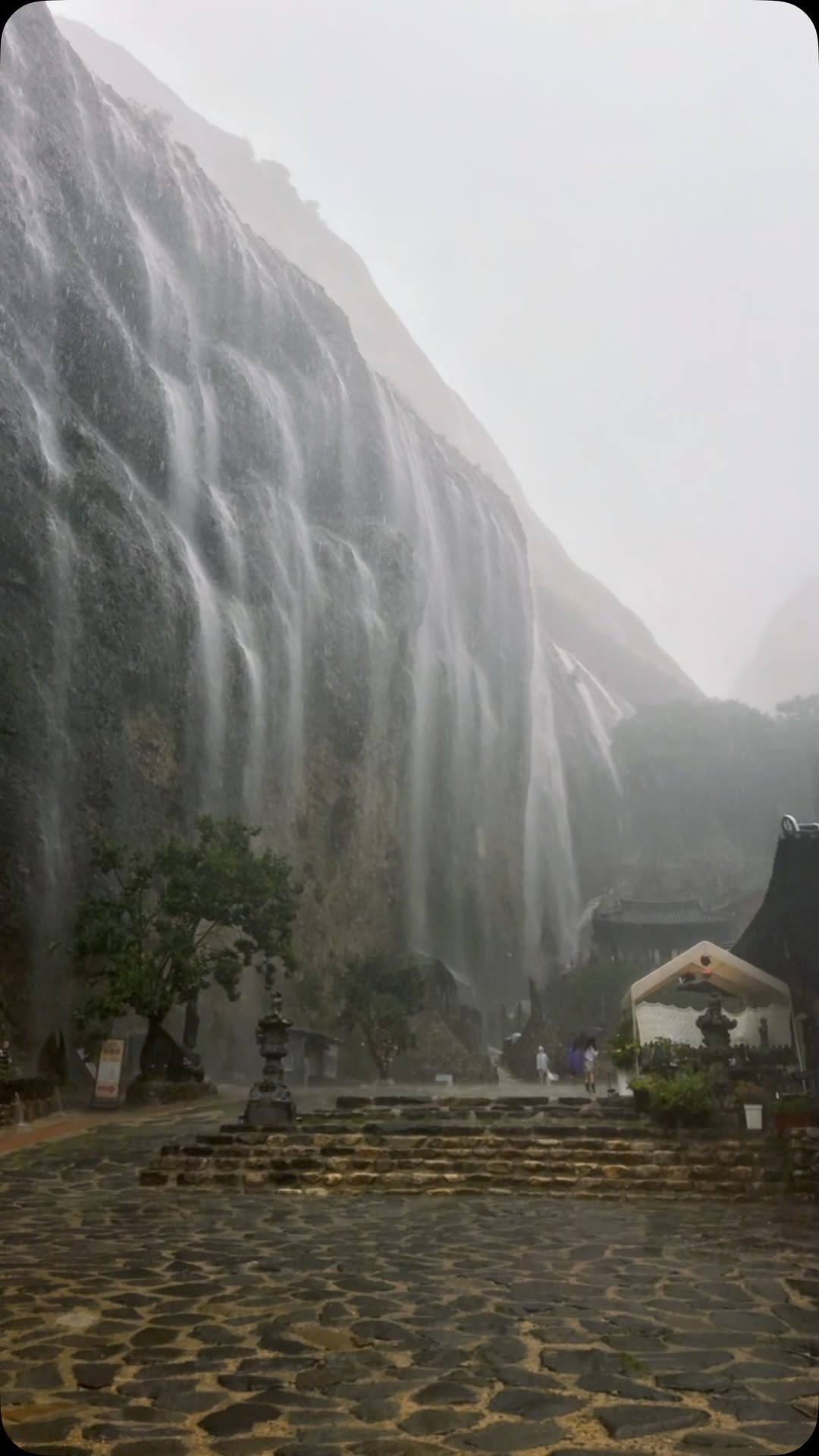 김성주, Maisan