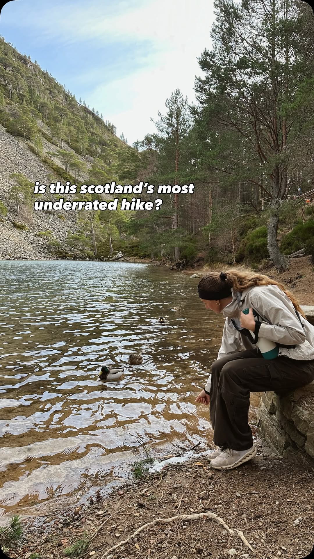 rachel zay, Glenmore Forest Park Visitor Centre and Allt Mor Cafe