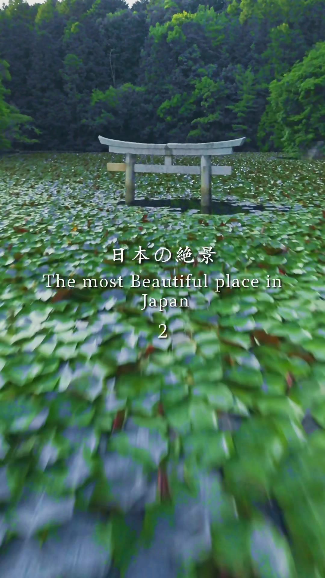 Reo🎥Travel Japan🇯🇵, Kirishima Jingu