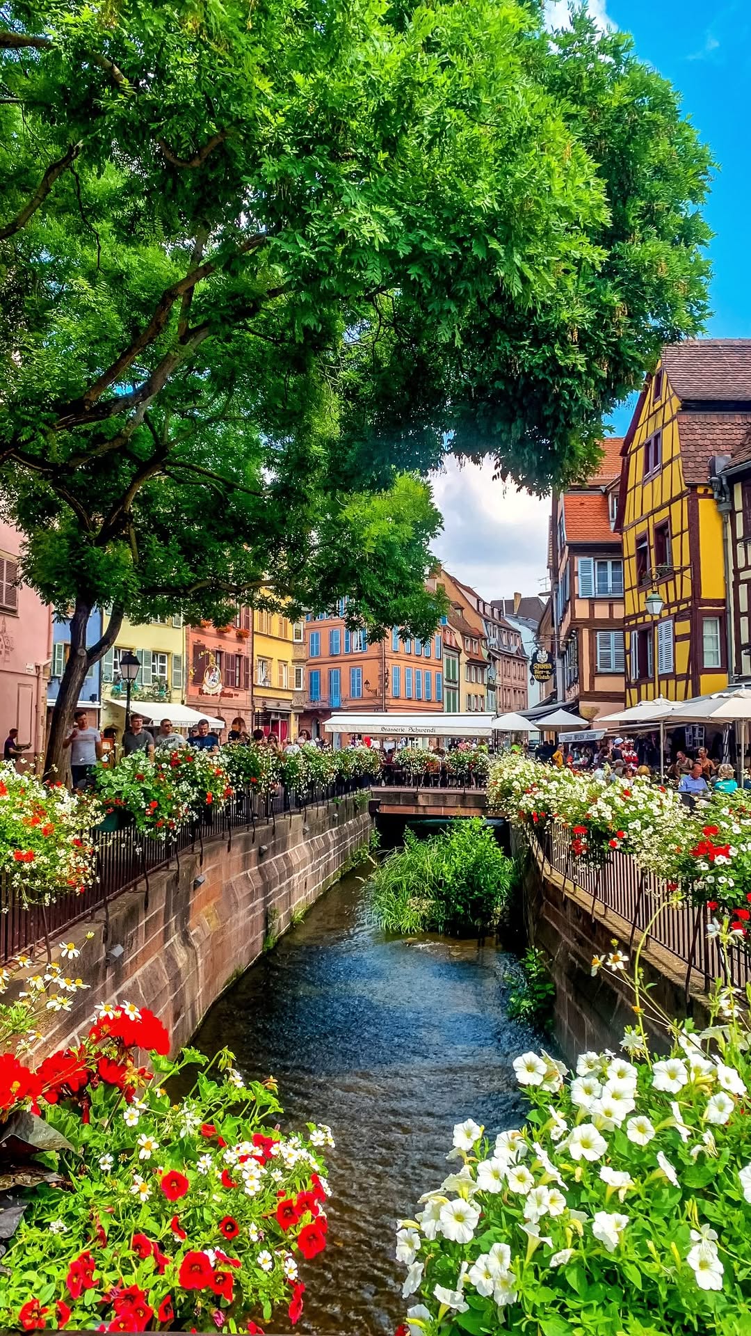 ZENWANDER • Travel Tips & Guides • Switzerland & beyond, Eguisheim