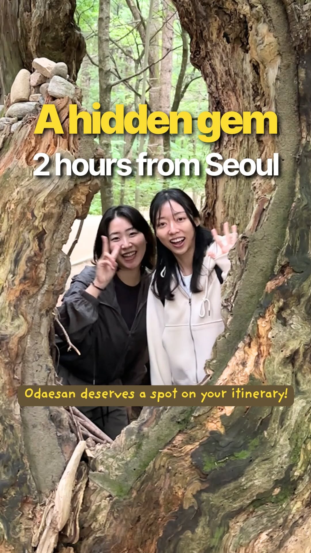 Creatrip 🇰🇷 Korea Your Way, Odaesan