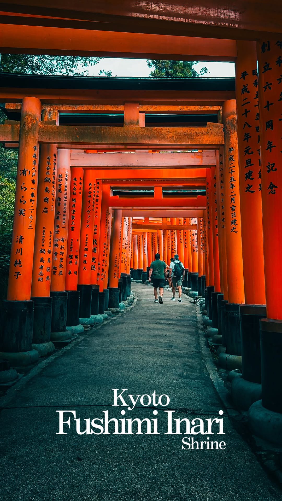 Ady in T O K Y O, Fushimi Inari Taisha