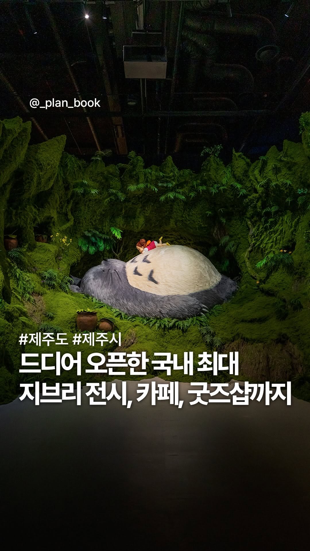 플랜북 | 카페 전시 팝업 맛집 숙소, Koriko Cafe Jeju Branch