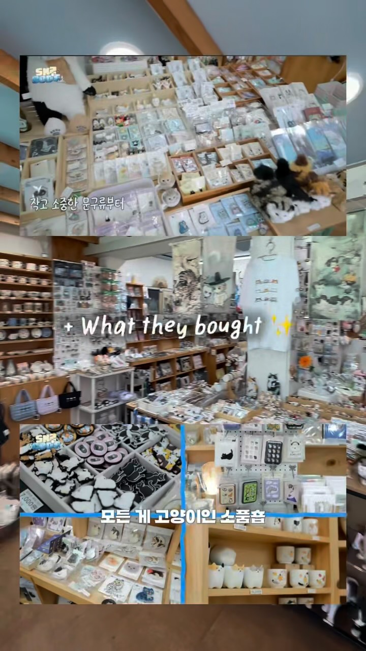 고양이의여행(catstrip), Gamcheon Culture Village, Busan