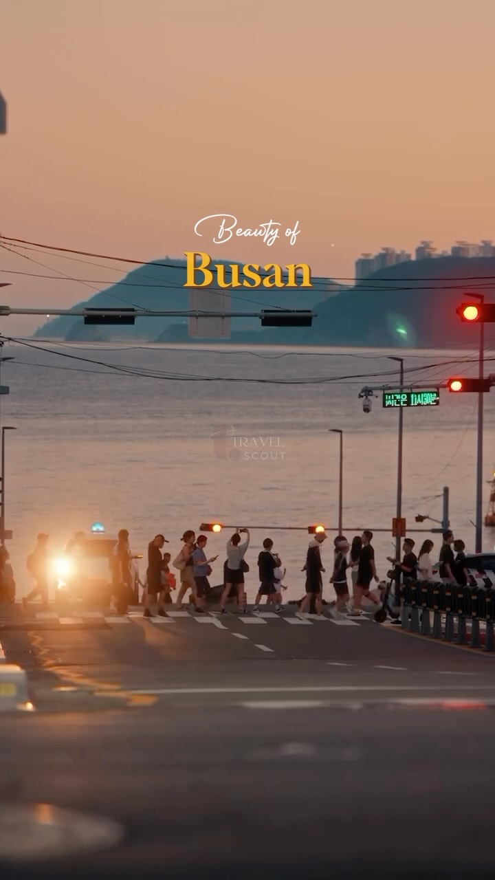 Travel Scout, Haeundae Beach