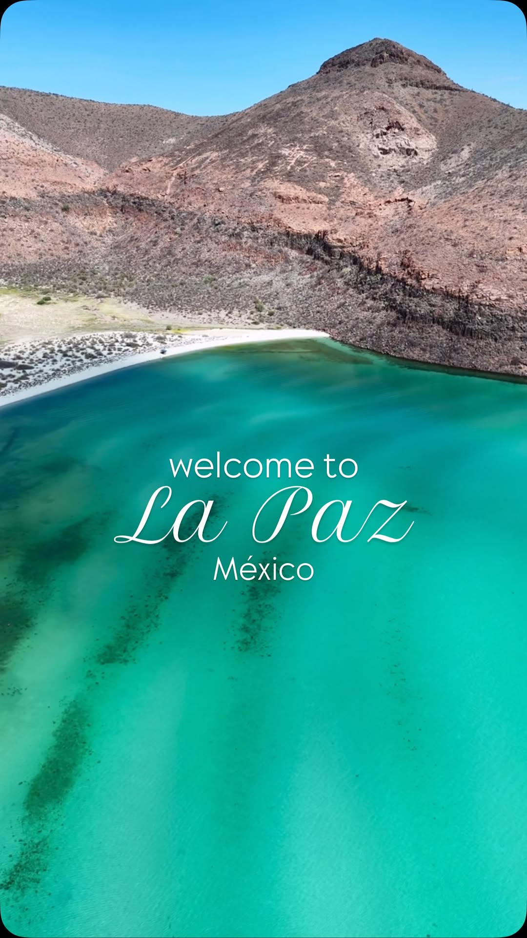 BAJA TOTO TOURS | ECO TOURISM | TOURS, Balandra