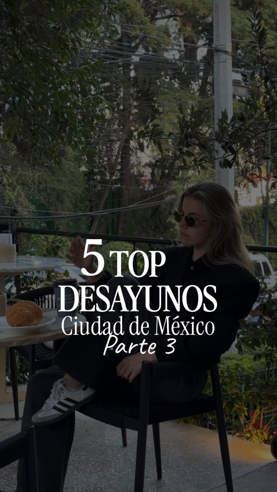 Ana de la Vega, Four Seasons Hotel Mexico City