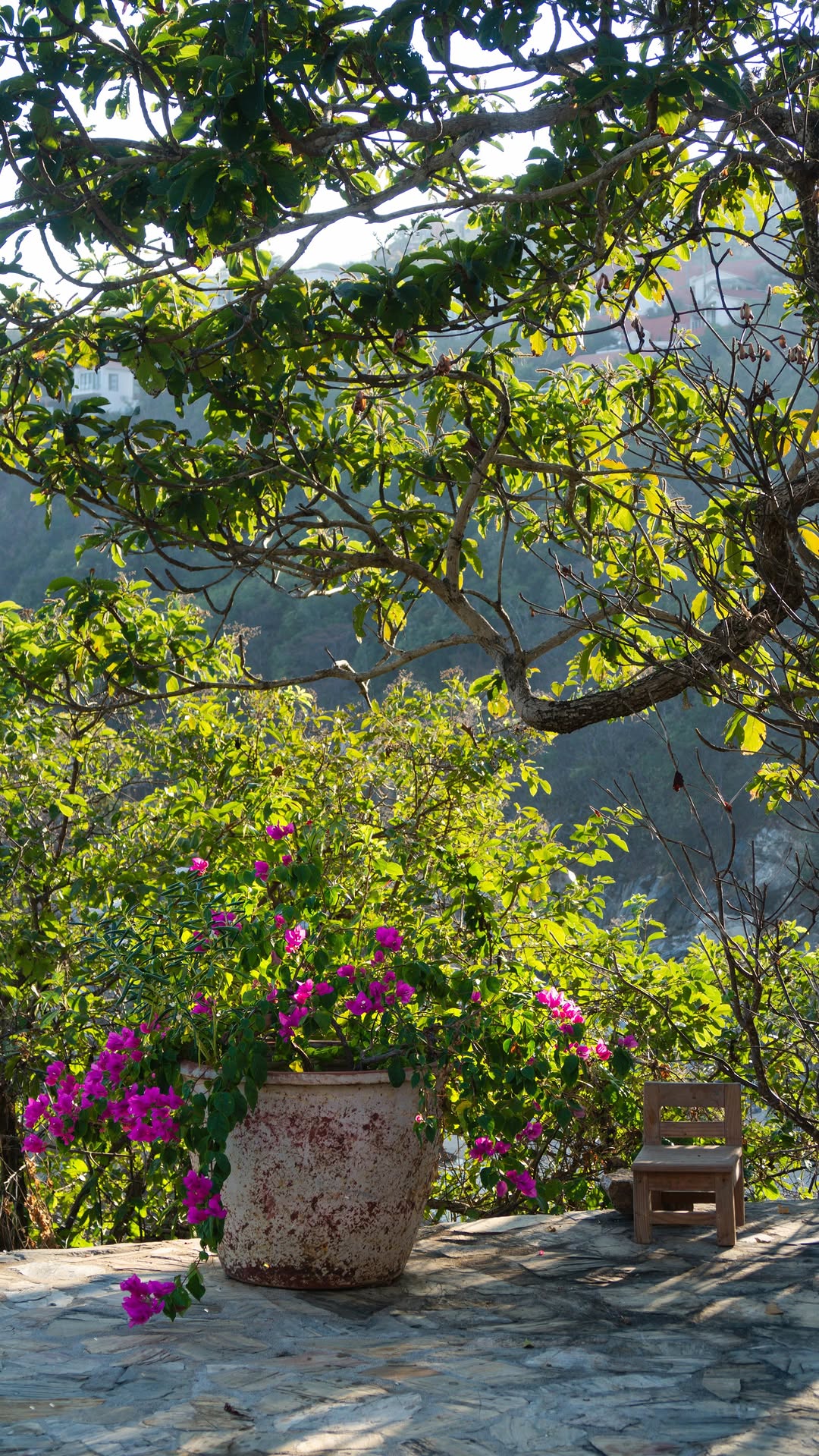 Champi ❊ mindful travels & soulful living in Mexico, Pátzcuaro