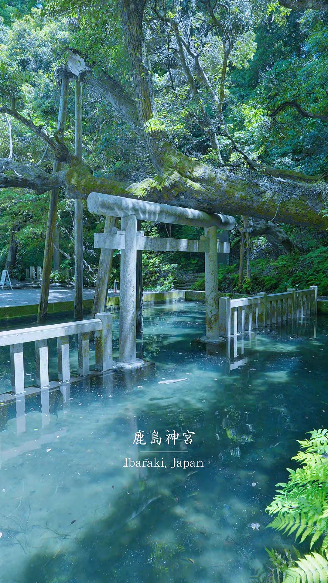 HiRO【日本の絶景】🇯🇵, Katori-Jingu Shrine