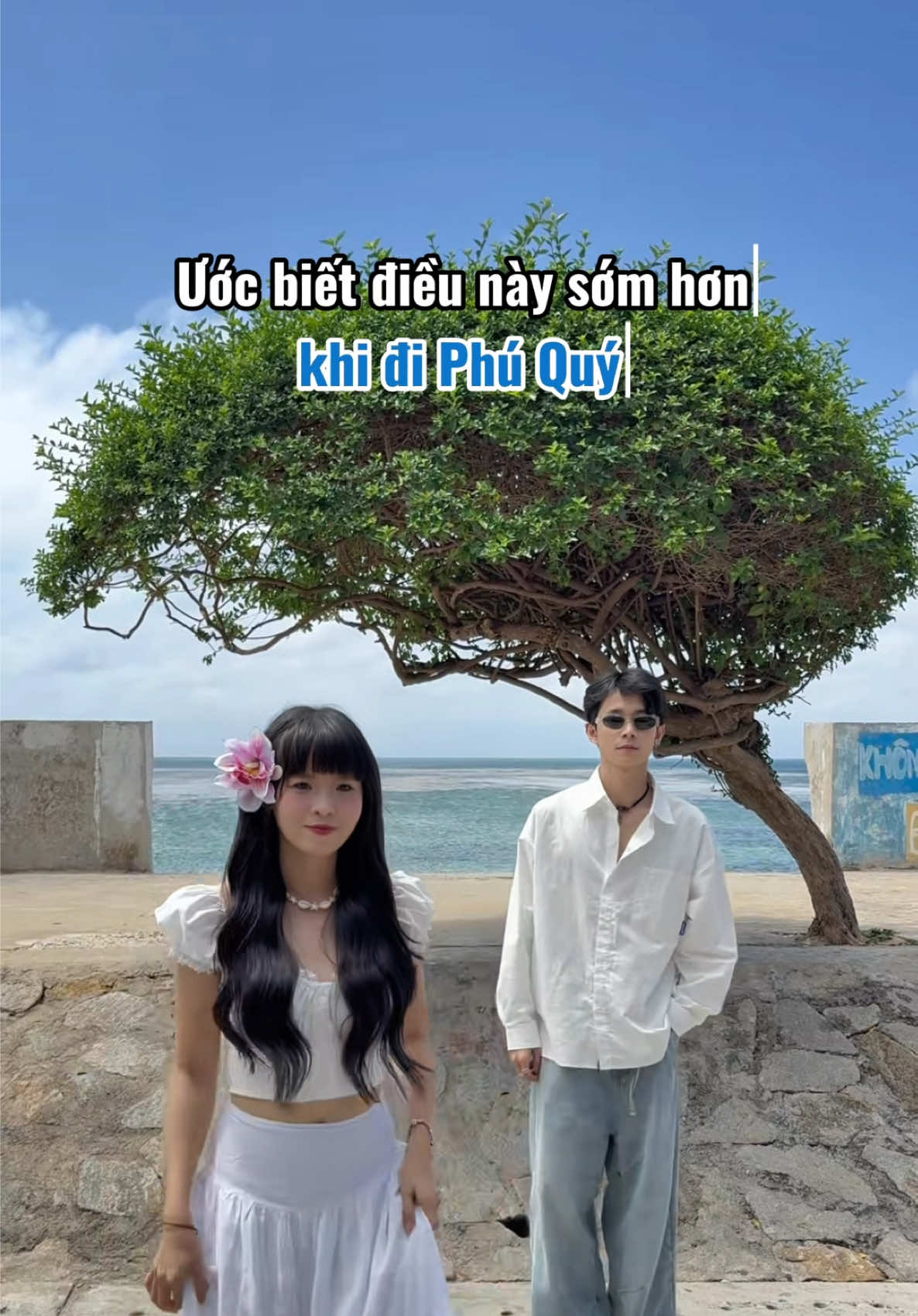 Phú Quý - Homesworld, The Lonely Tree