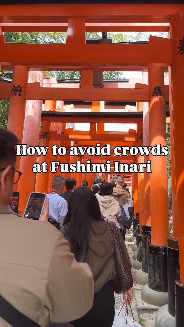 earthtovicki🌼, Fushimi Inari Taisha
