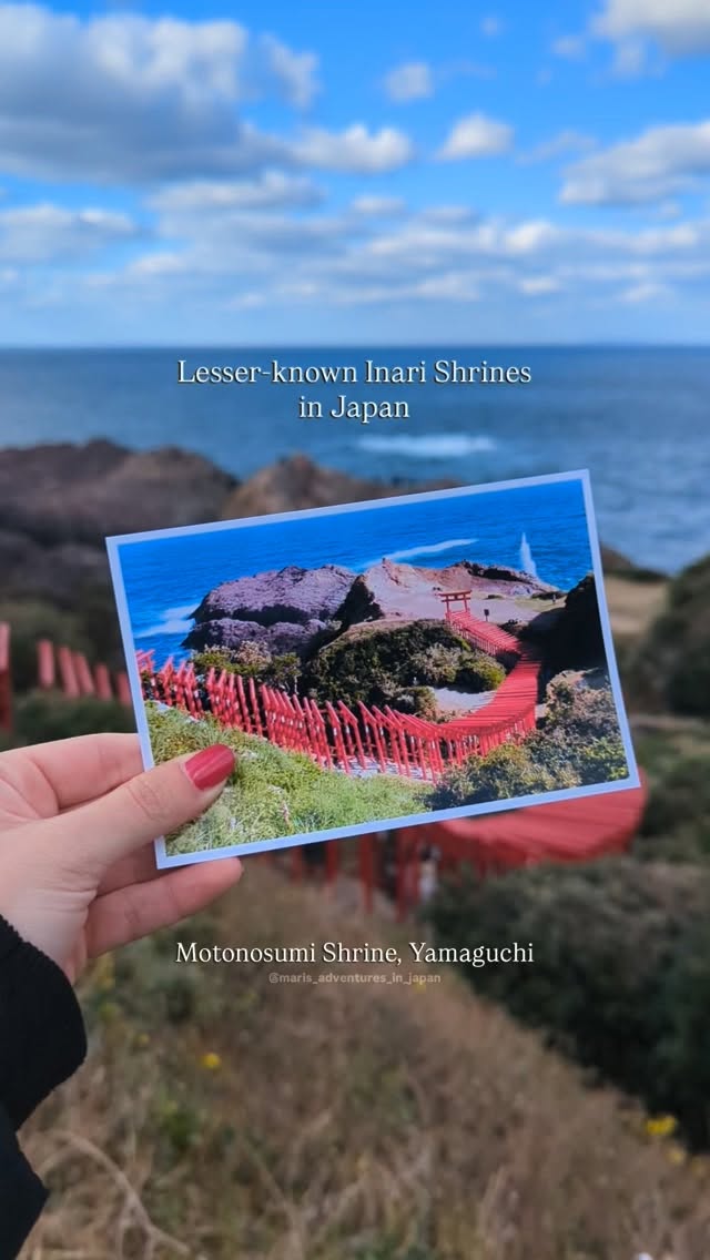 Mari 🇮🇹 • Japan Travel, Fushimi Inari Taisha