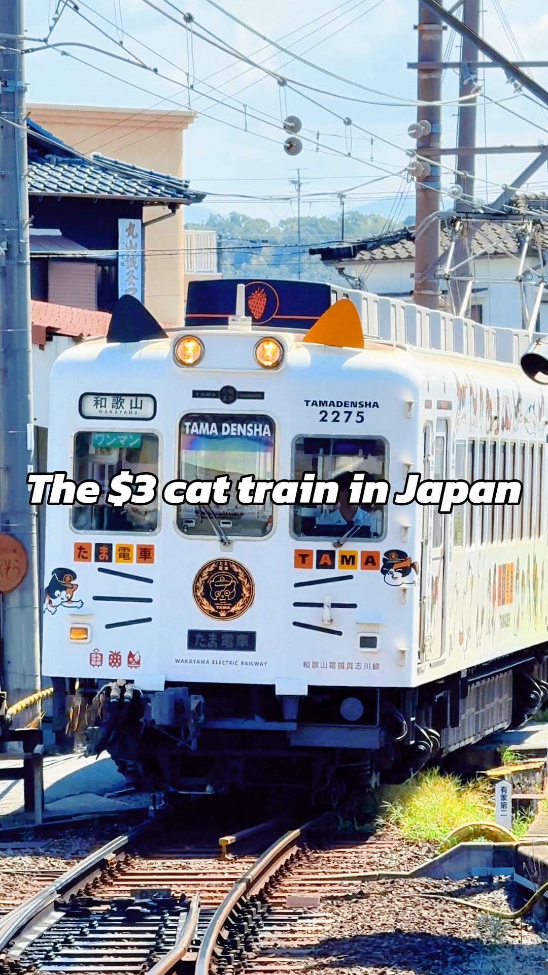 Hiroko Furukawa, Super Station Master Tama (Wakayama Electric Railway)