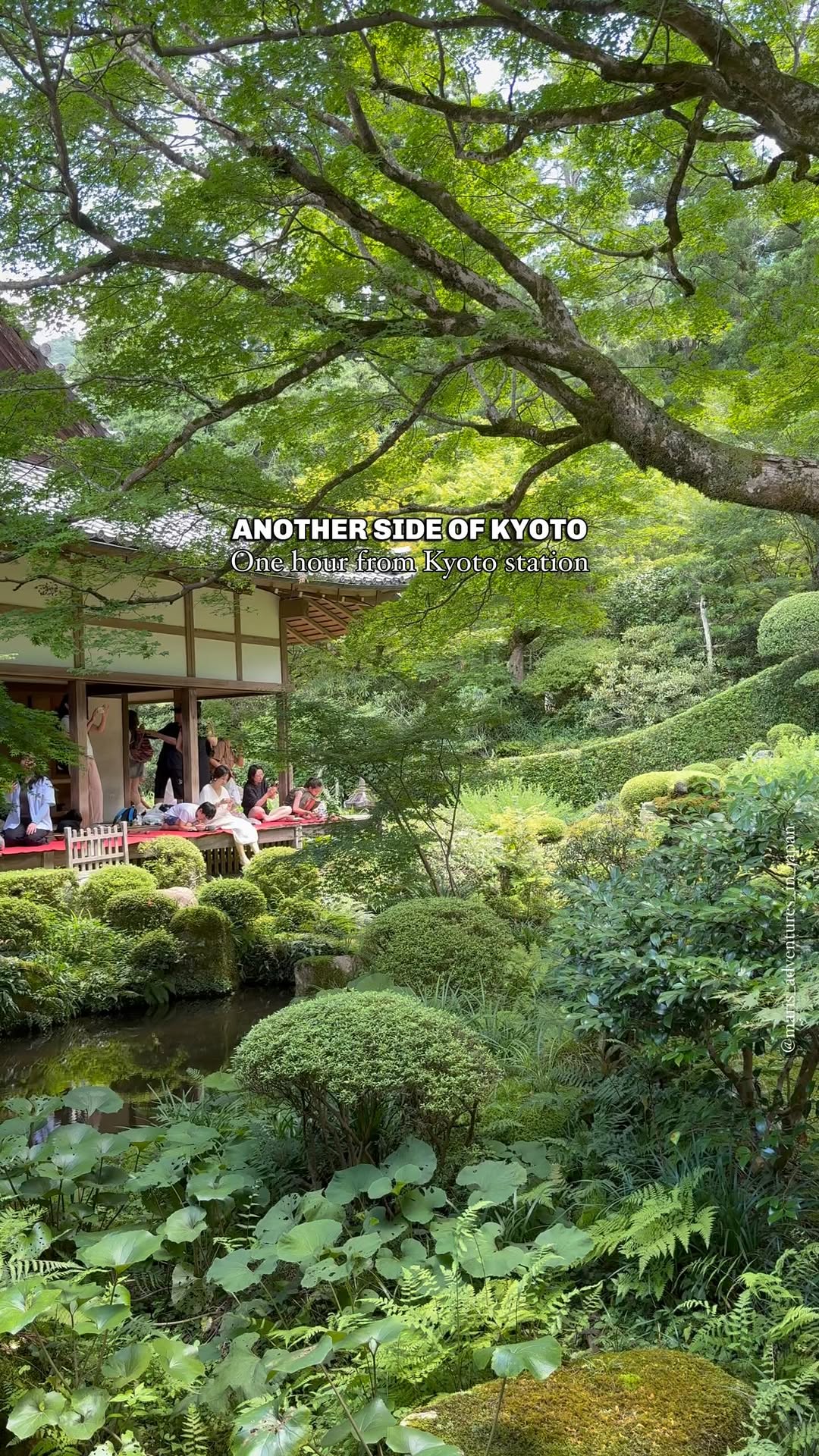 Mari 🇮🇹 • Japan Travel, Sanzen-in Temple