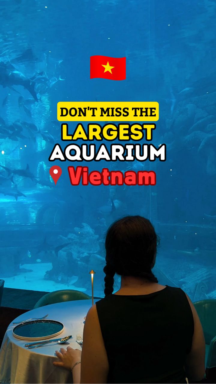Liam & Sarah | Life in Vietnam 🇻🇳, VinWonders Phú Quốc