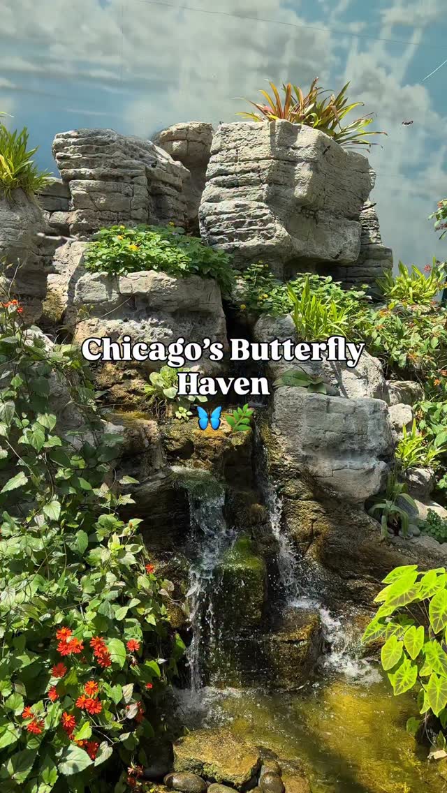 Gera | Chicagoland + Midwest Family Travel & Activities, Peggy Notebaert Nature Museum