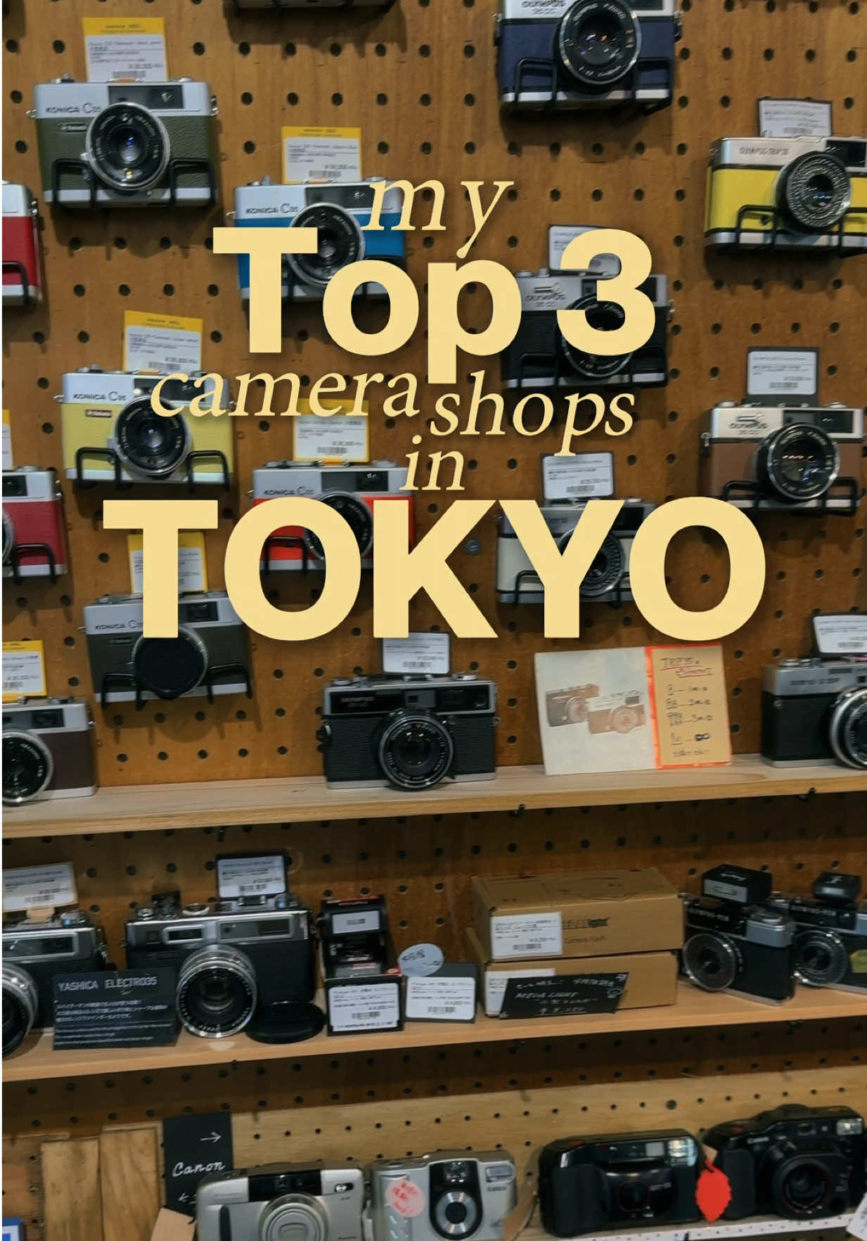 LuLiangLifestyle, Fujiya Camera