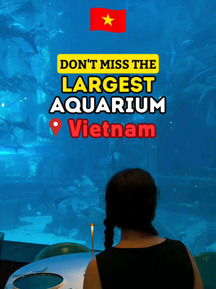 Liam & Sarah | Life in Vietnam, VinWonders Phú Quốc