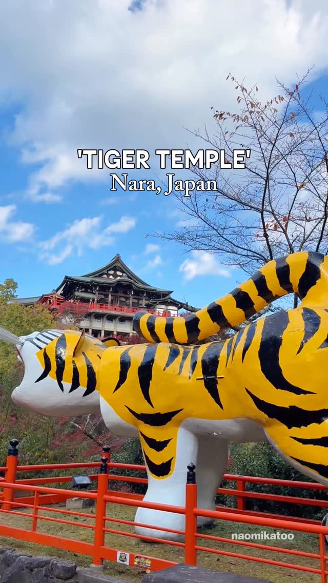 Naomi | Japan travel 🤍, Chogosonshi-ji