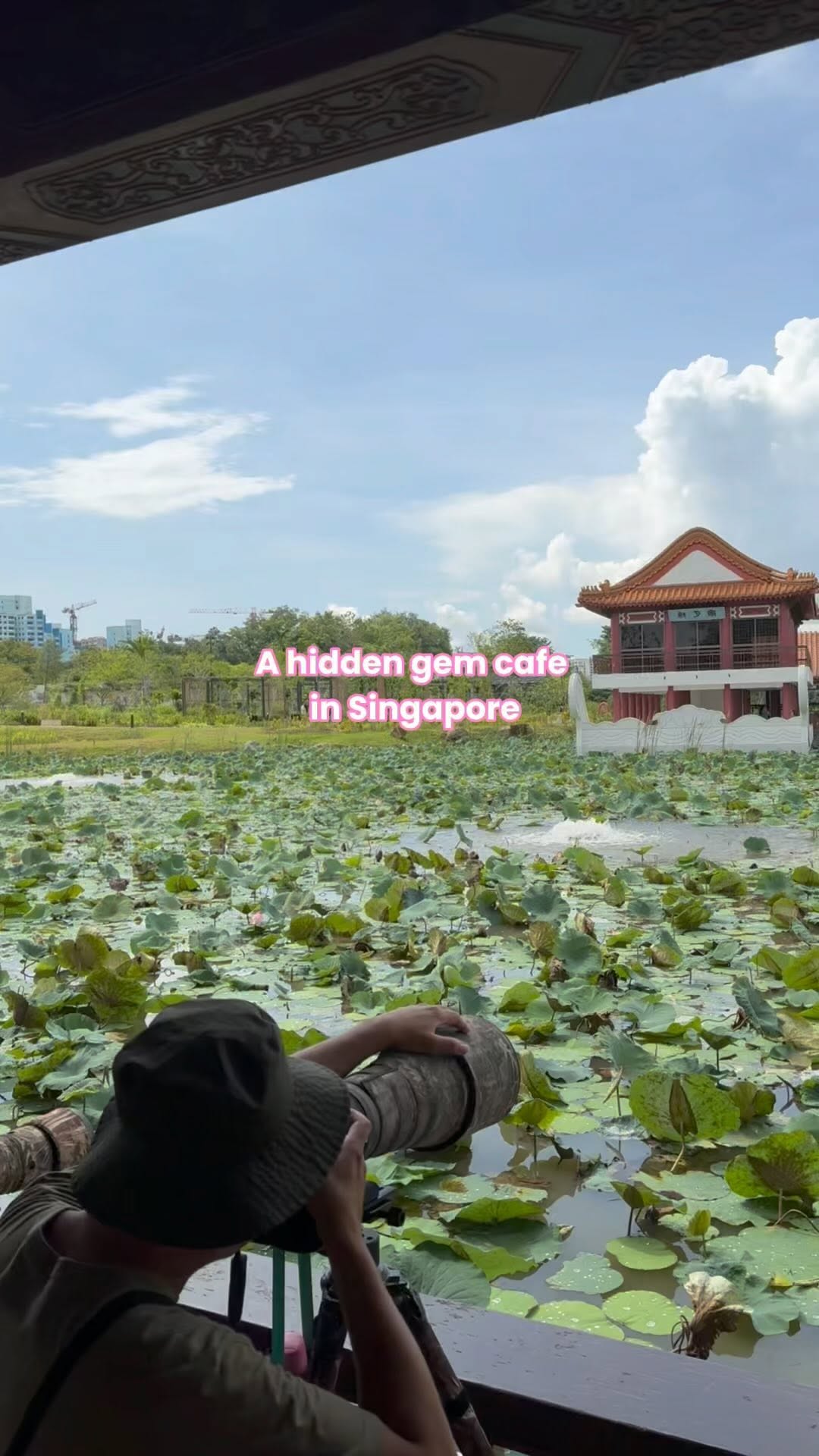 SG HIDDEN GEMS 💎, Chinese Garden