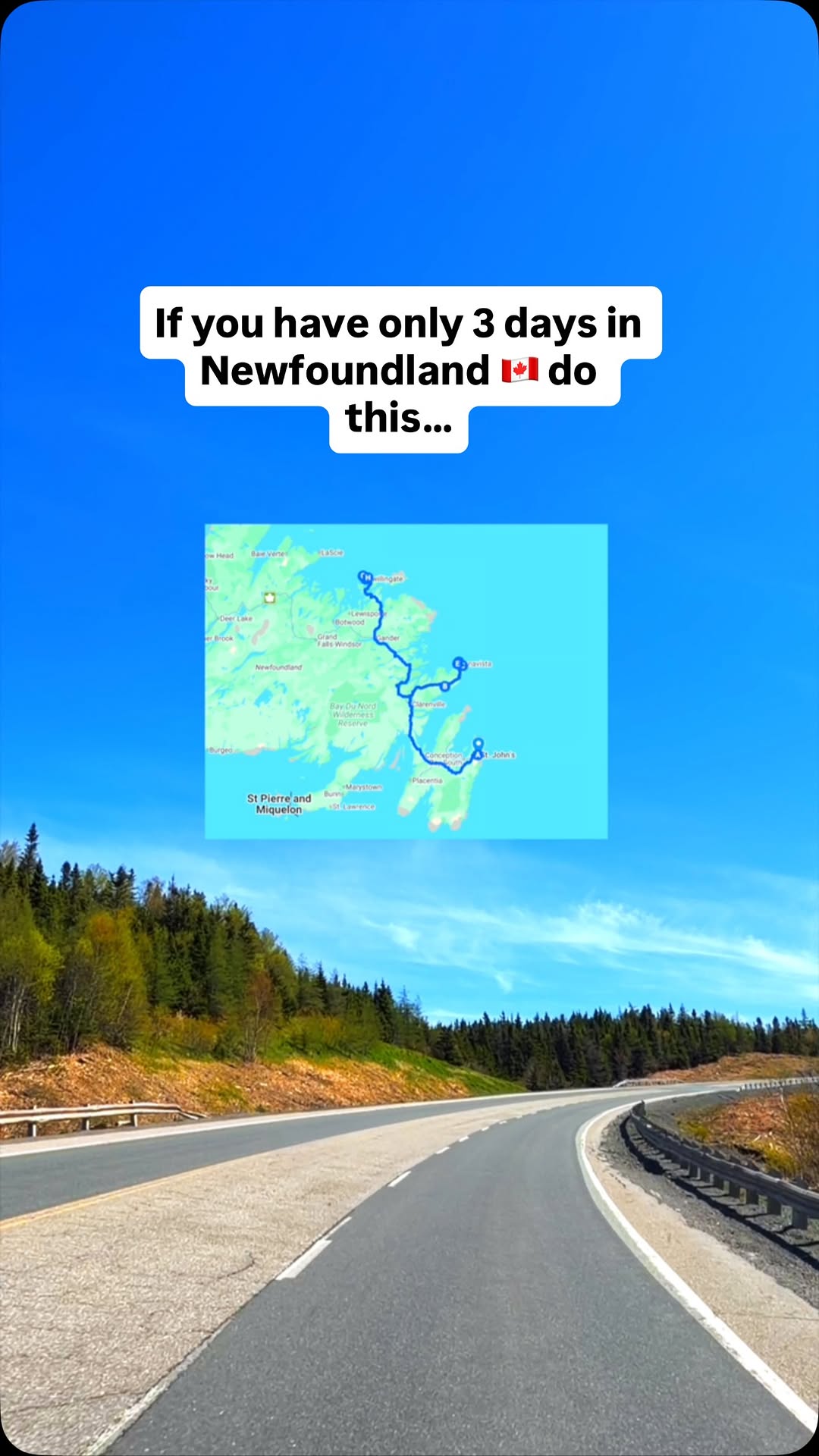 Robin & Sheen | Canada Travel + Adventure, St. John's