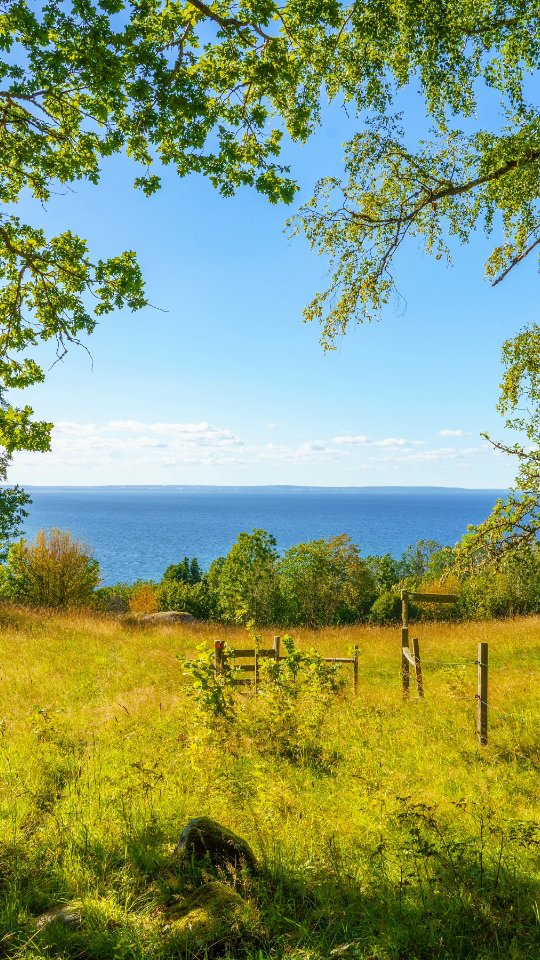𝙏𝘼 𝘿𝙄𝙂 𝙐𝙏 - utflykter och äventyr, Brahehus Castle Ruin