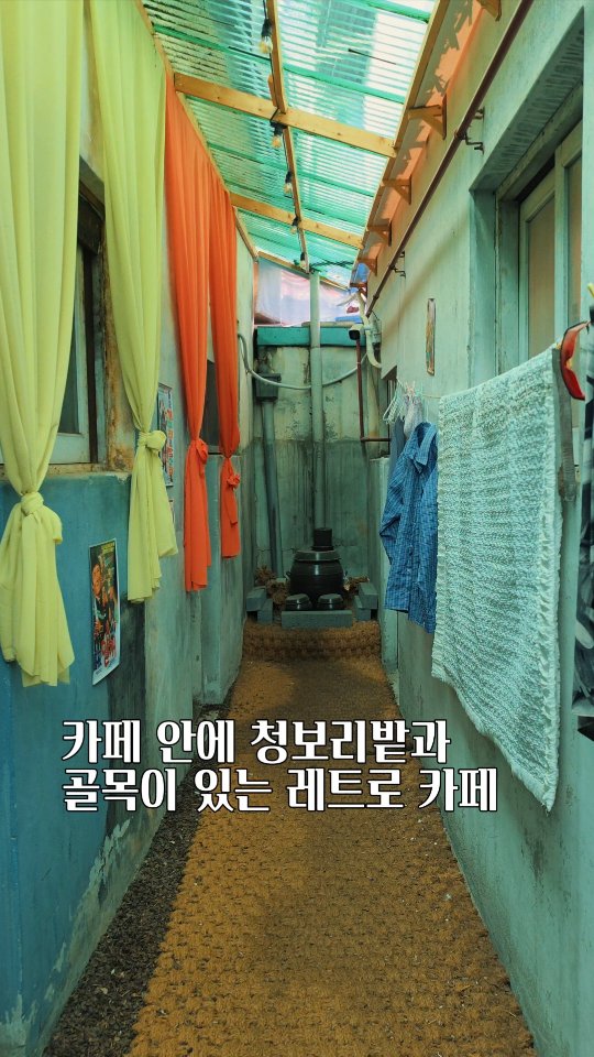 우준 | 카페, 전시, 팝업, 공간 큐레이터, 청량리종합시장