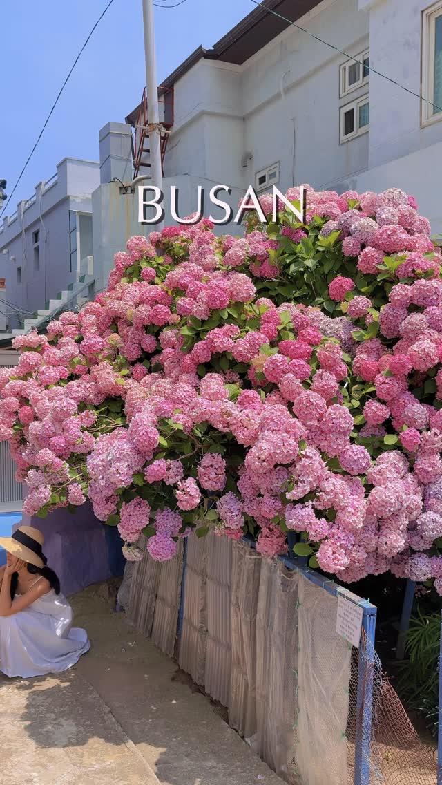 로로 | 여행, 숙소, 핫플 가이드, 송림공원