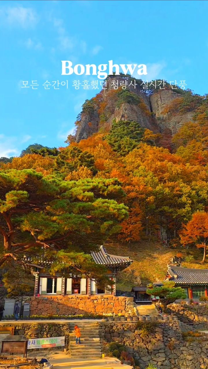 리틀콤마 l 카페 • 숙소 • 여행 • 공간, Naejangsan