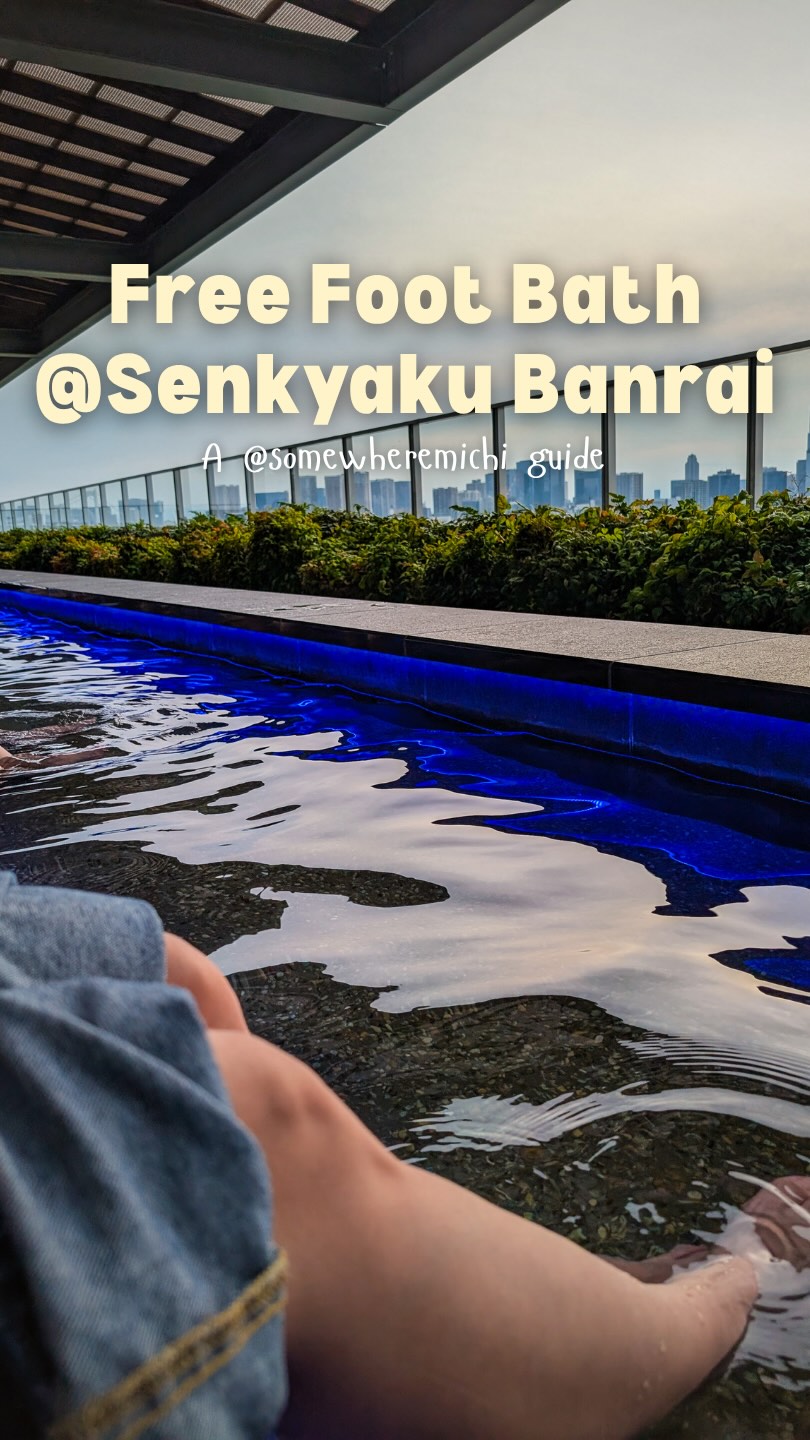 Somewhere Michi, Toyosu Senkyaku Banrai