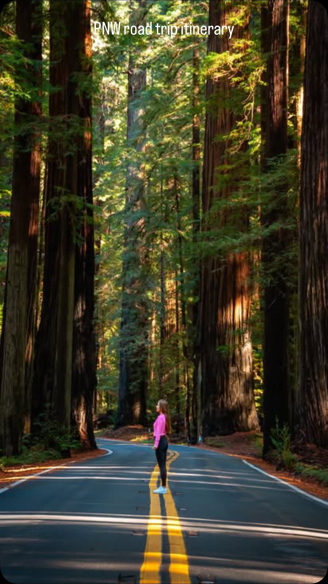 Henriett✨ | travel, nature & road trips, San Francisco