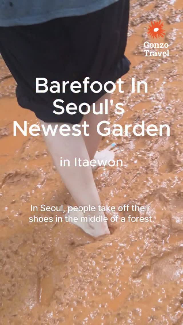 Gonzo Travel, N Seoul Tower