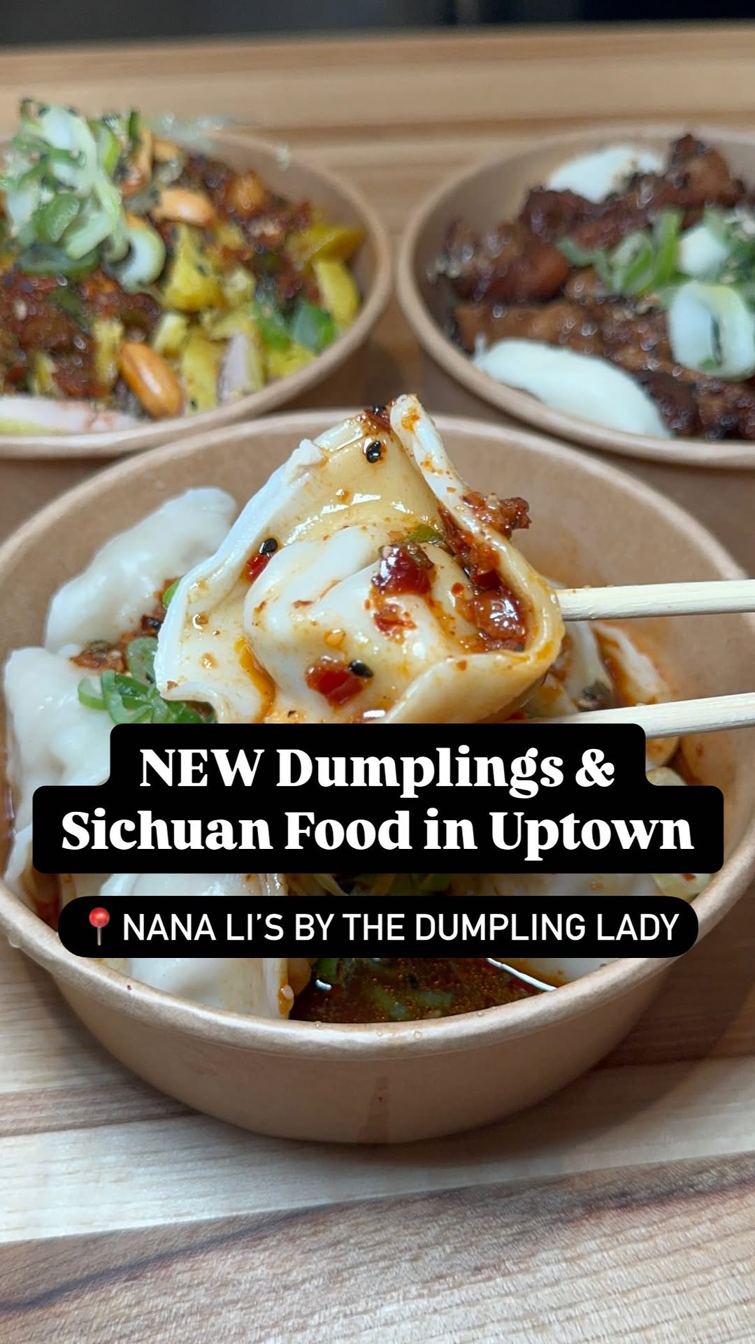 Robin Tan | Charlotte Foodie, The Dumpling Lady - Nana Li's in Latta Arcade
